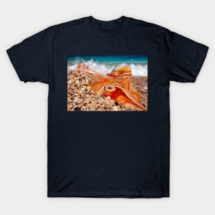 Psychedelic rock splash T-Shirt